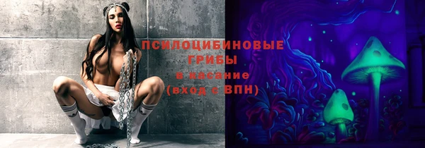 индика Алзамай