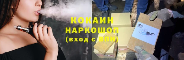 индика Алзамай