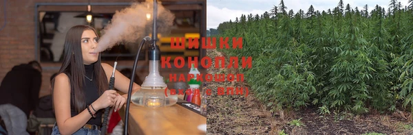 индика Алзамай