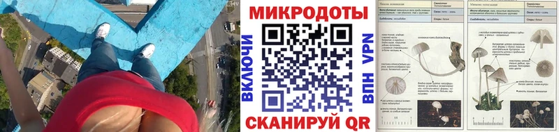Галлюциногенные грибы прущие грибы  где продают   Абдулино 